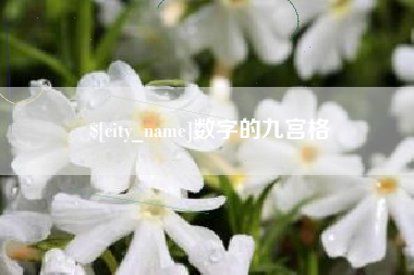 霍邱数字的九宫格
