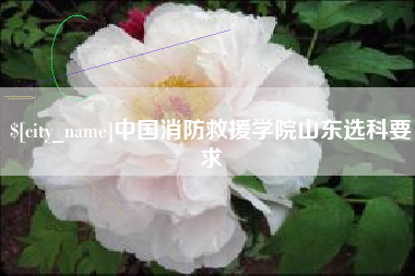 霍邱中国消防救援学院山东选科要求