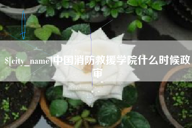 霍邱中国消防救援学院什么时候政审