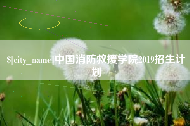 霍邱中国消防救援学院2019招生计划