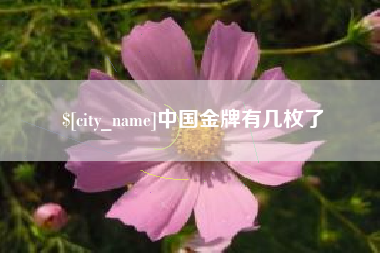 霍邱中国金牌有几枚了