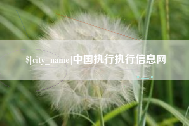 霍邱中国执行执行信息网