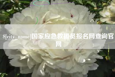 霍邱国家应急救援员报名网查询官网
