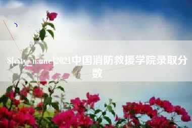 霍邱2021中国消防救援学院录取分数