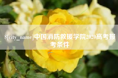 霍邱中国消防救援学院2020高考报考条件