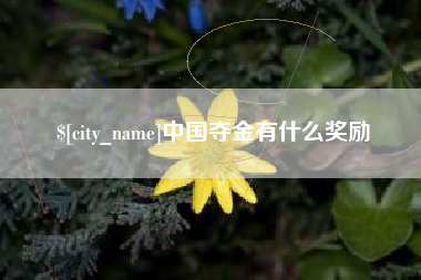 霍邱中国夺金有什么奖励