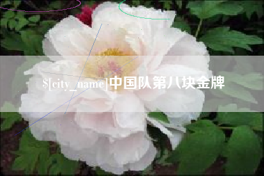 霍邱中国队第八块金牌