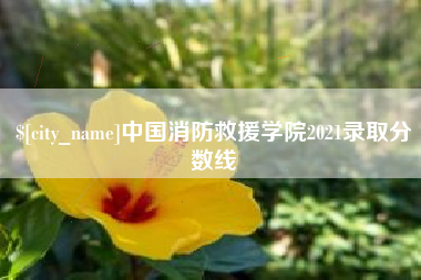 霍邱中国消防救援学院2021录取分数线