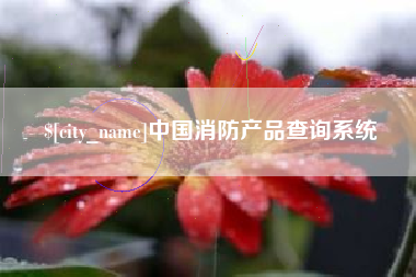 霍邱中国消防产品查询系统