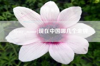 霍邱现在中国哪几个金牌
