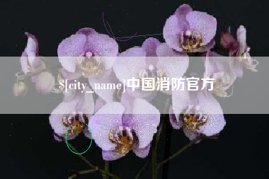 霍邱中国消防官方