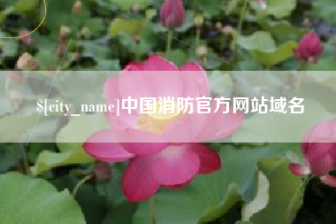 霍邱中国消防官方网站域名