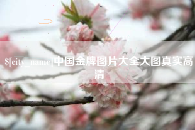 霍邱中国金牌图片大全大图真实高清