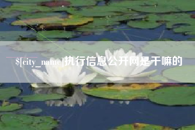 霍邱执行信息公开网是干嘛的