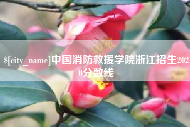 霍邱中国消防救援学院浙江招生2020分数线