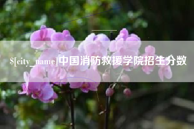 霍邱中国消防救援学院招生分数