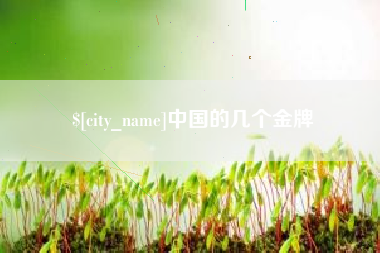 霍邱中国的几个金牌