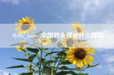 霍邱中国的金牌是什么样的