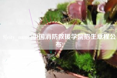 霍邱中国消防救援学院招生章程公布!