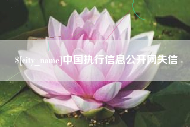霍邱中国执行信息公开网失信