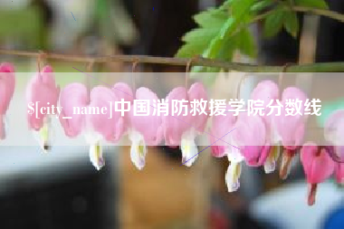 霍邱中国消防救援学院分数线
