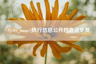霍邱执行信息公开网查询免费